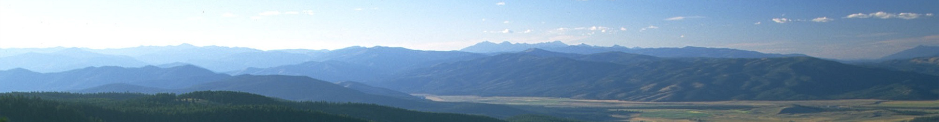 (ni)banner